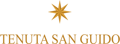 Tenuta San Guido