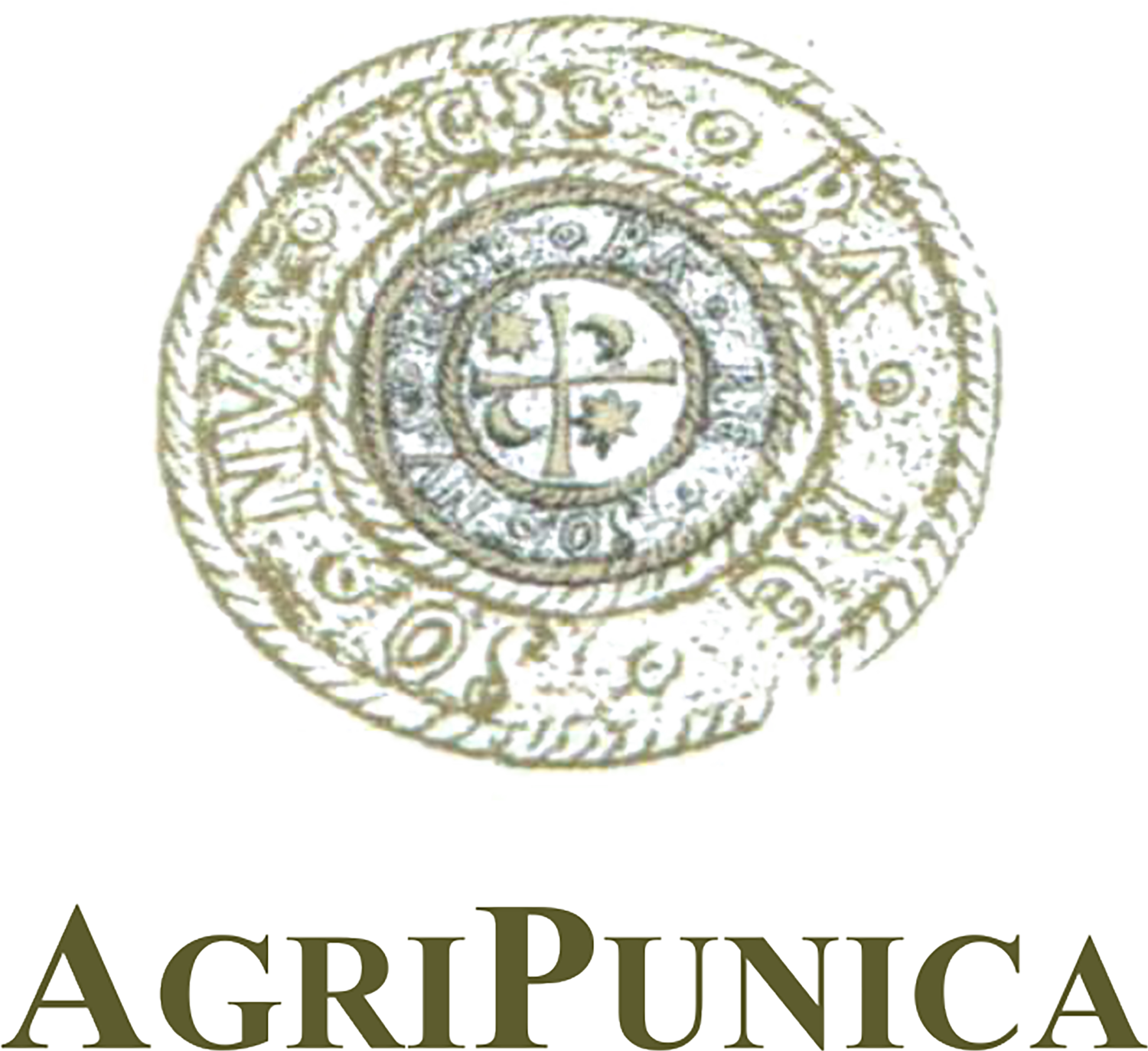 Agricola Punica