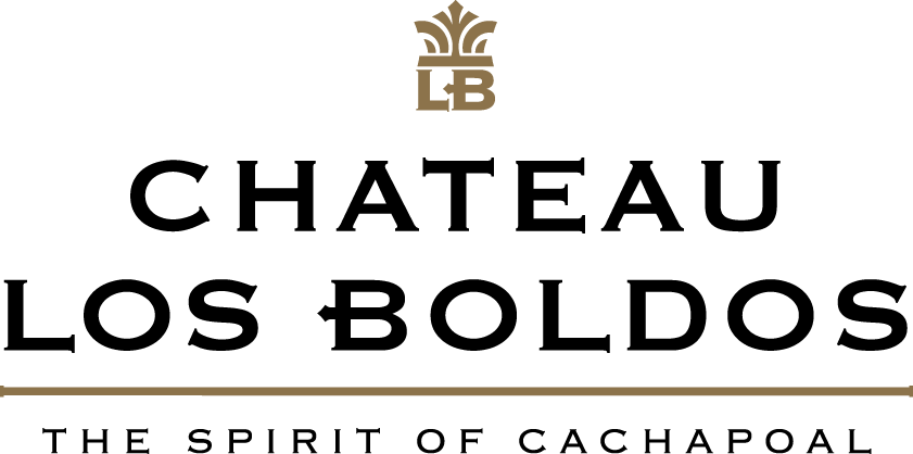Chateau Los Boldos